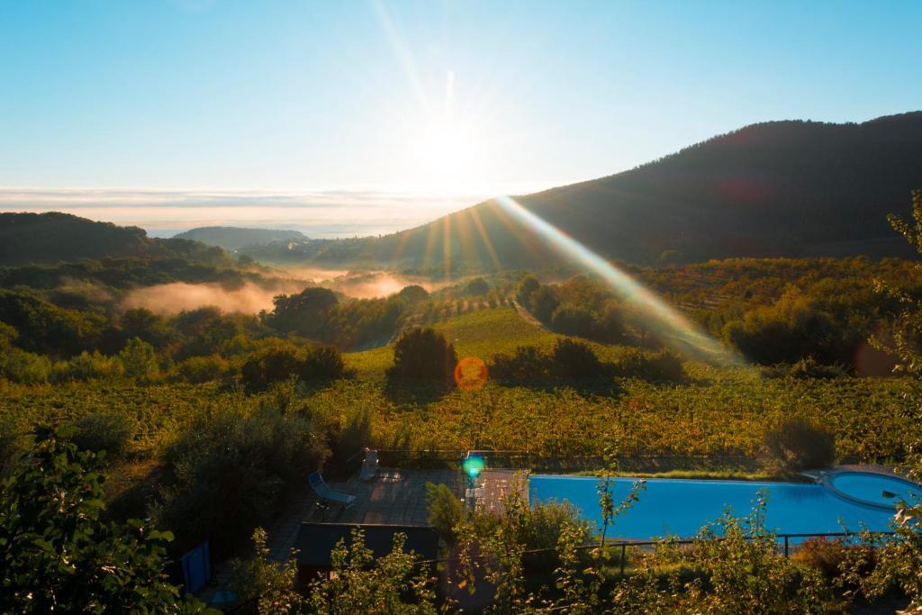 Agriturismo Il Serraglio Montepulciano Stazione 外观 照片